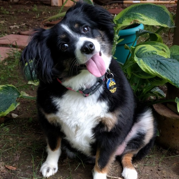 Get to Know Me! - Picture 2 of 3